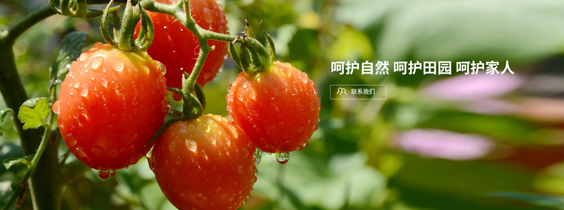 呵護自然，呵護田園，呵護家人