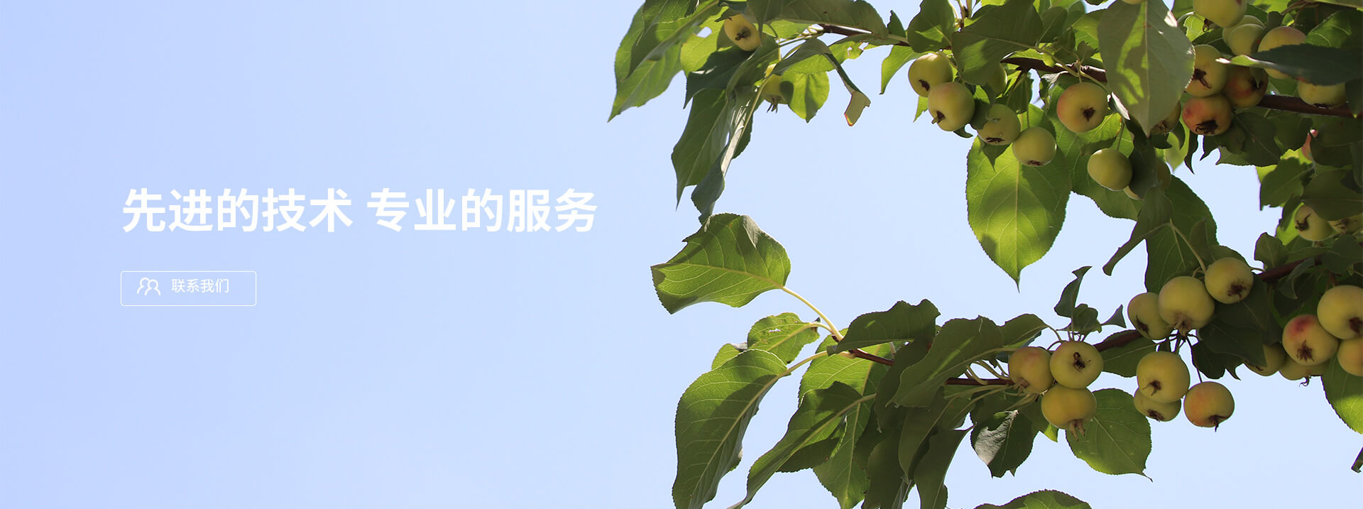 先進的技術，專業的服務