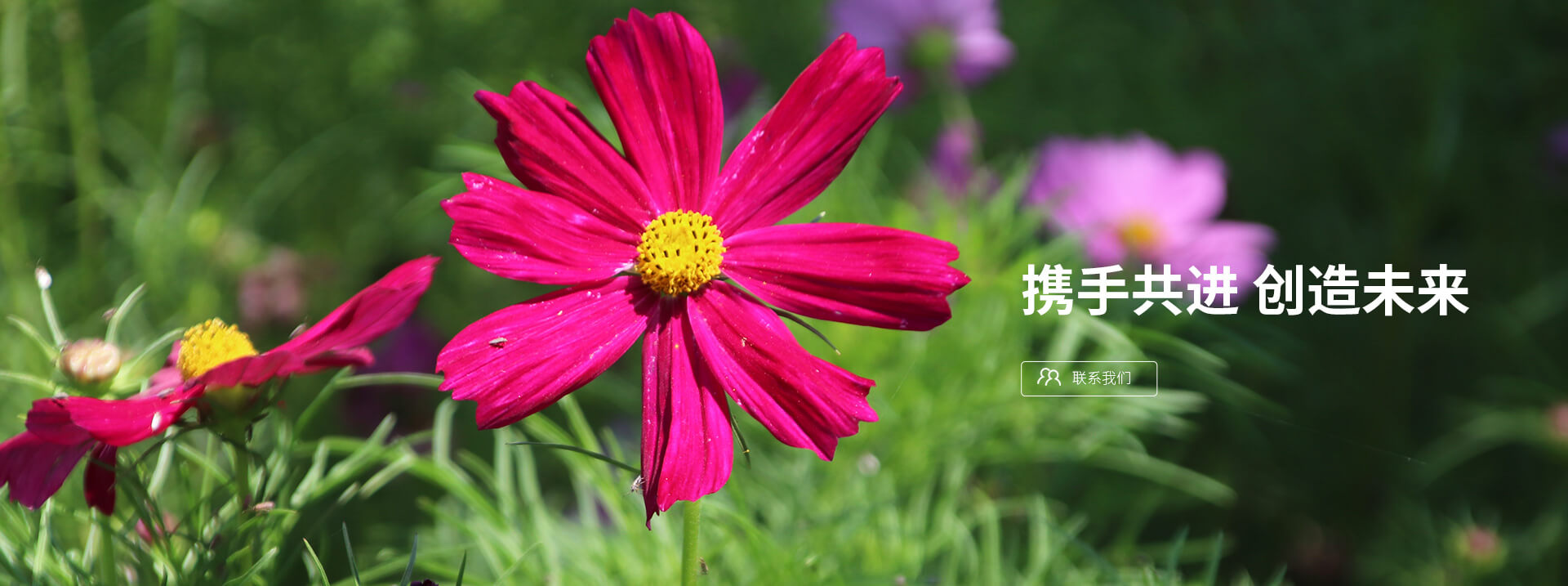 攜手共進，創造未來