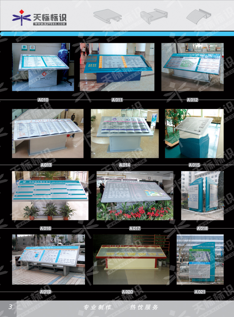 2011t(y)M(bio)_03