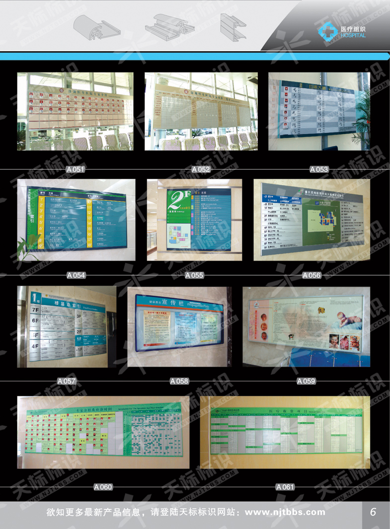 2011t(y)M(bio)_06